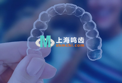 上海鸣齿电商采购平台开发